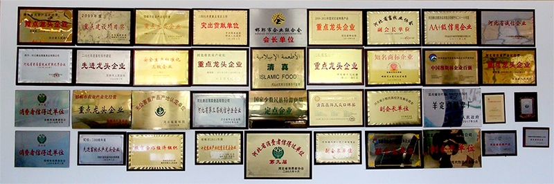 栈牛心肌肽,栈牛特膳营养,栈牛心脏运动营养肽